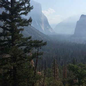 Meet your Posher, Lizbeth